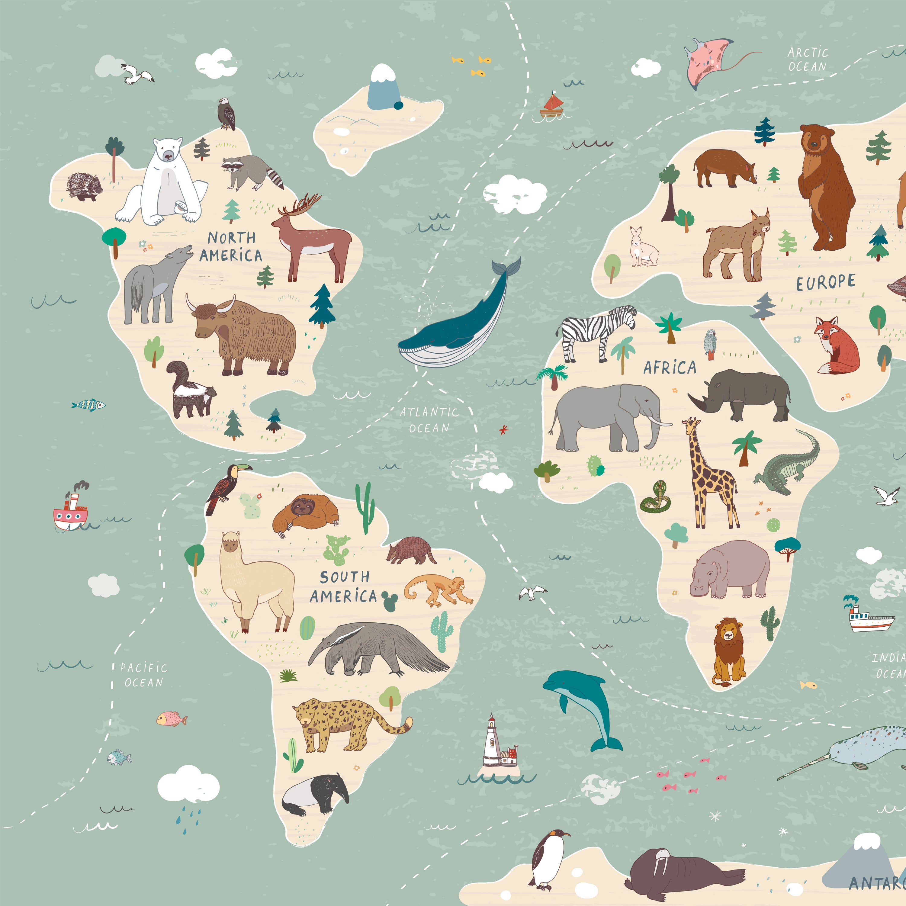 Adventure Animals World Map Kids Wallpaper
