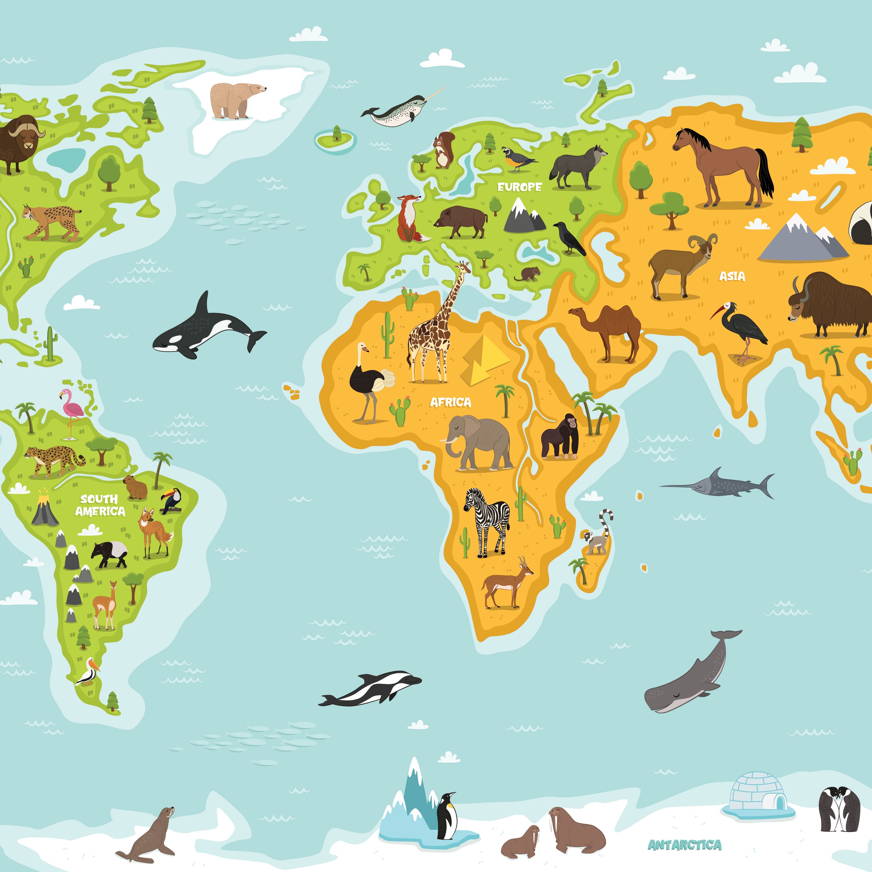 Wild Wonders World Map Kids Wallpaper