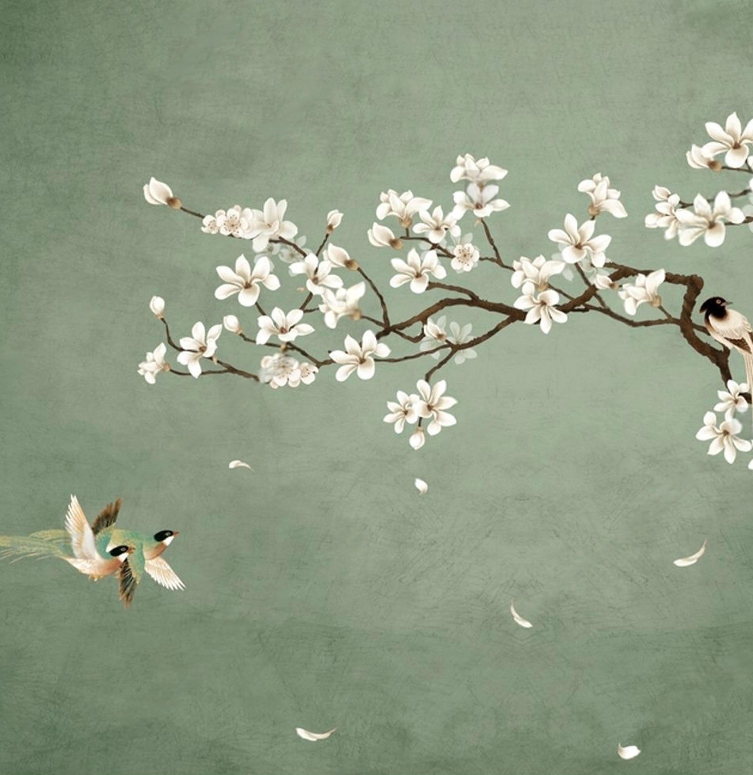 Tranquil Spring Symphony – Botanical Bird Mural Wallpaper