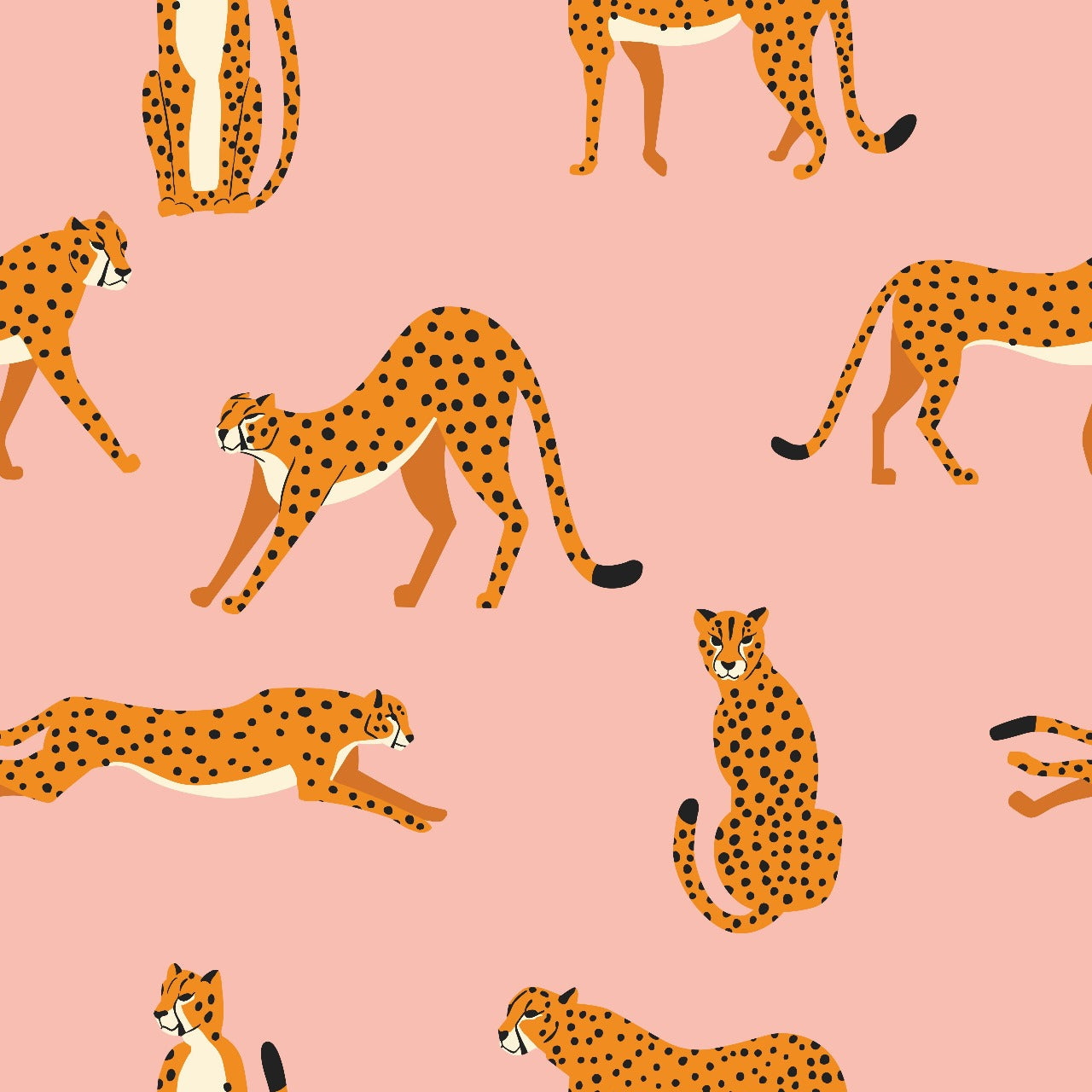Playful Cheetahs Kids Wallpaper